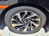 Used 2018 Honda Civic LX-P image 4
