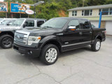 Used 2013 Ford F150 Platinum image 2