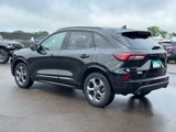 Used 2024 Ford Escape ST-Line image 6