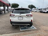 Used 2020 Ford Escape SEL image 4