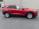 Certified 2022 Ford Escape SE w/ Convenience Package image 5