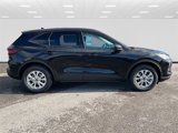 New 2025 Ford Escape Active w/ Tech Pack #1 image 2