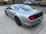 Used 2020 Ford Mustang Premium image 6