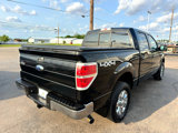 Used 2013 Ford F150 XLT w/ Luxury Equipment Group image 5
