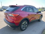 Used 2022 Ford Escape SEL w/ Technology Package image 5