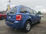 Used 2010 Ford Escape XLT image 4