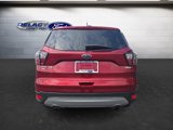 Used 2017 Ford Escape SE w/ Equipment Group 201A image 4