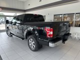 Used 2019 Ford F150 XLT w/ Equipment Group 302A Luxury image 6