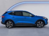 Used 2021 Ford Escape SE w/ SE Sport Appearance Package image 2