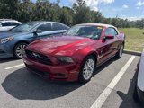 Used 2014 Ford Mustang Premium w/ Equipment Group 202A image 4