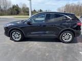 Used 2020 Ford Escape SE image 4