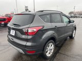 Used 2018 Ford Escape SE image 5