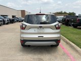 Used 2017 Ford Escape Titanium image 5