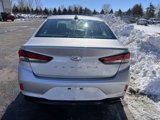Used 2018 Hyundai Sonata SEL w/ Cargo Package image 2