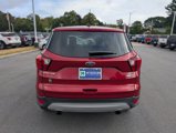 Used 2019 Ford Escape SE image 4
