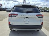 Used 2022 Ford Escape SEL w/ Technology Package image 4