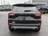 New 2025 Ford Escape Active image 5