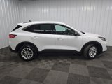 Used 2022 Ford Escape SE w/ Convenience Package image 2