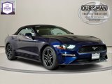 Used 2020 Ford Mustang Premium image 1