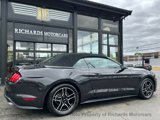 Used 2023 Ford Mustang Premium image 3