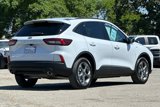 Used 2025 Ford Escape ST-Line w/ Tech Pack #1 image 4