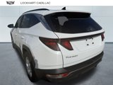 Used 2024 Hyundai Tucson SEL image 4