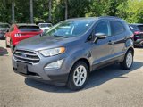 Used 2019 Ford EcoSport SE image 3
