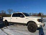 Used 2011 Ford F150 Platinum image 3