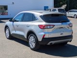 Used 2020 Ford Escape SE image 3