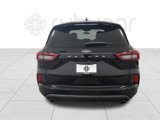 Used 2023 Ford Escape ST-Line w/ Cold Weather Package image 4
