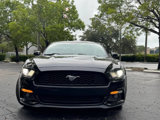 Used 2015 Ford Mustang Coupe w/ Wheel & Stripe Package image 3