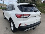 Used 2022 Ford Escape SE w/ Cold Weather Package image 2
