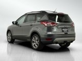 Used 2014 Ford Escape SE w/ Equipment Group 201A image 3