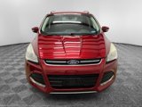 Used 2014 Ford Escape Titanium image 2