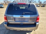 Used 2010 Ford Escape Limited image 4