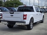 Used 2019 Ford F150 XLT w/ Equipment Group 302A Luxury image 5