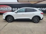 Used 2021 Ford Escape Titanium image 4