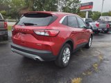 Used 2022 Ford Escape SE w/ Convenience Package image 3