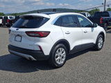 Certified 2024 Ford Escape Active w/ Tech Pack #2 image 6