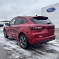 Used 2024 Ford Escape ST-Line w/ Tech Pack #1 image 5