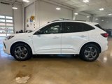 Used 2023 Ford Escape ST-Line image 4