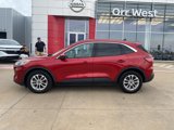 Used 2020 Ford Escape SE image 2