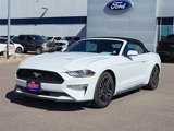 Used 2022 Ford Mustang Convertible w/ Equipment Group 101A image 5