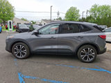 Used 2022 Ford Escape SEL w/ SEL Stealth AWD Package image 4
