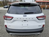 Used 2022 Ford Escape SE image 6