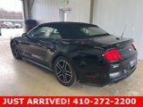 Used 2021 Ford Mustang Premium image 2