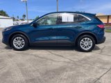 Used 2020 Ford Escape SE image 6