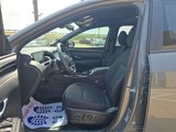 Certified 2024 Hyundai Santa Cruz SEL w/ Activity Package image 3