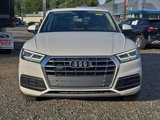 Used 2019 Audi Q5 2.0T Premium Plus w/ Premium Plus Package image 3