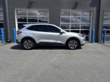 Used 2020 Ford Escape SEL image 4